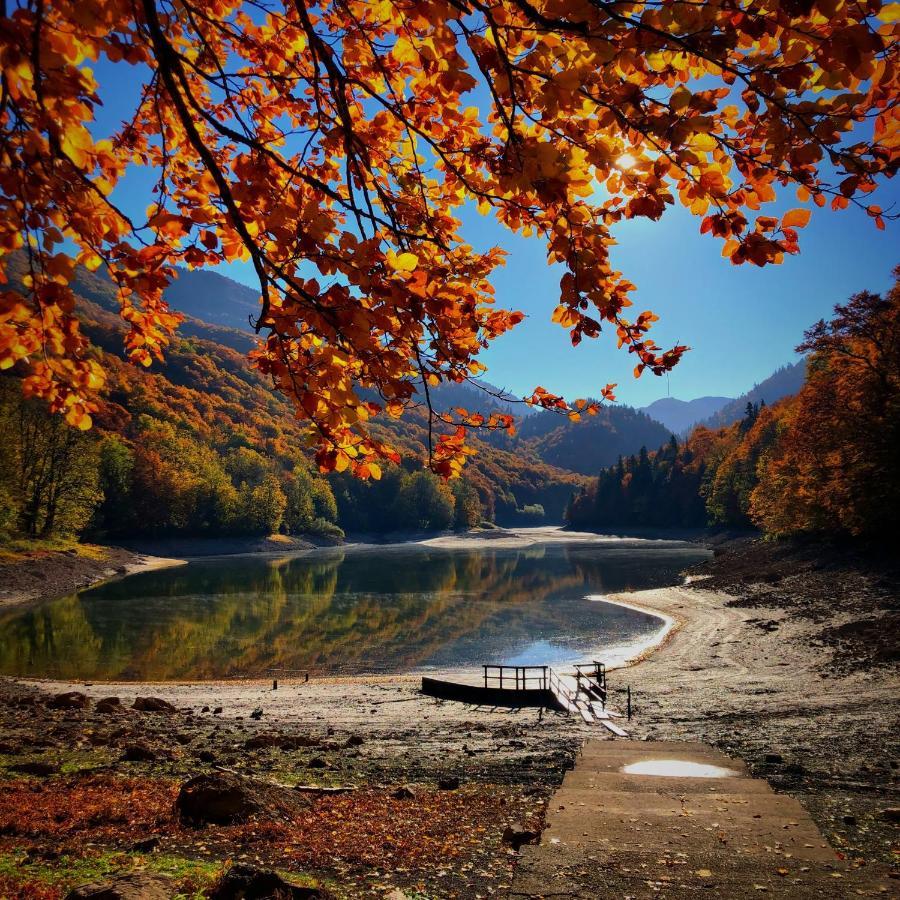 Private Accommodation Kalezic Mojkovac Luaran gambar