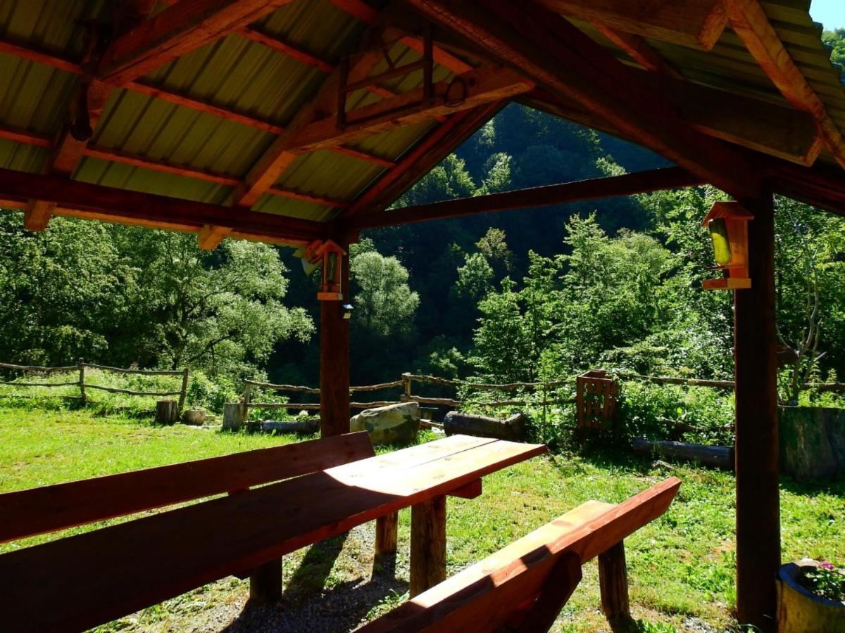 Private Accommodation Kalezic Mojkovac Luaran gambar