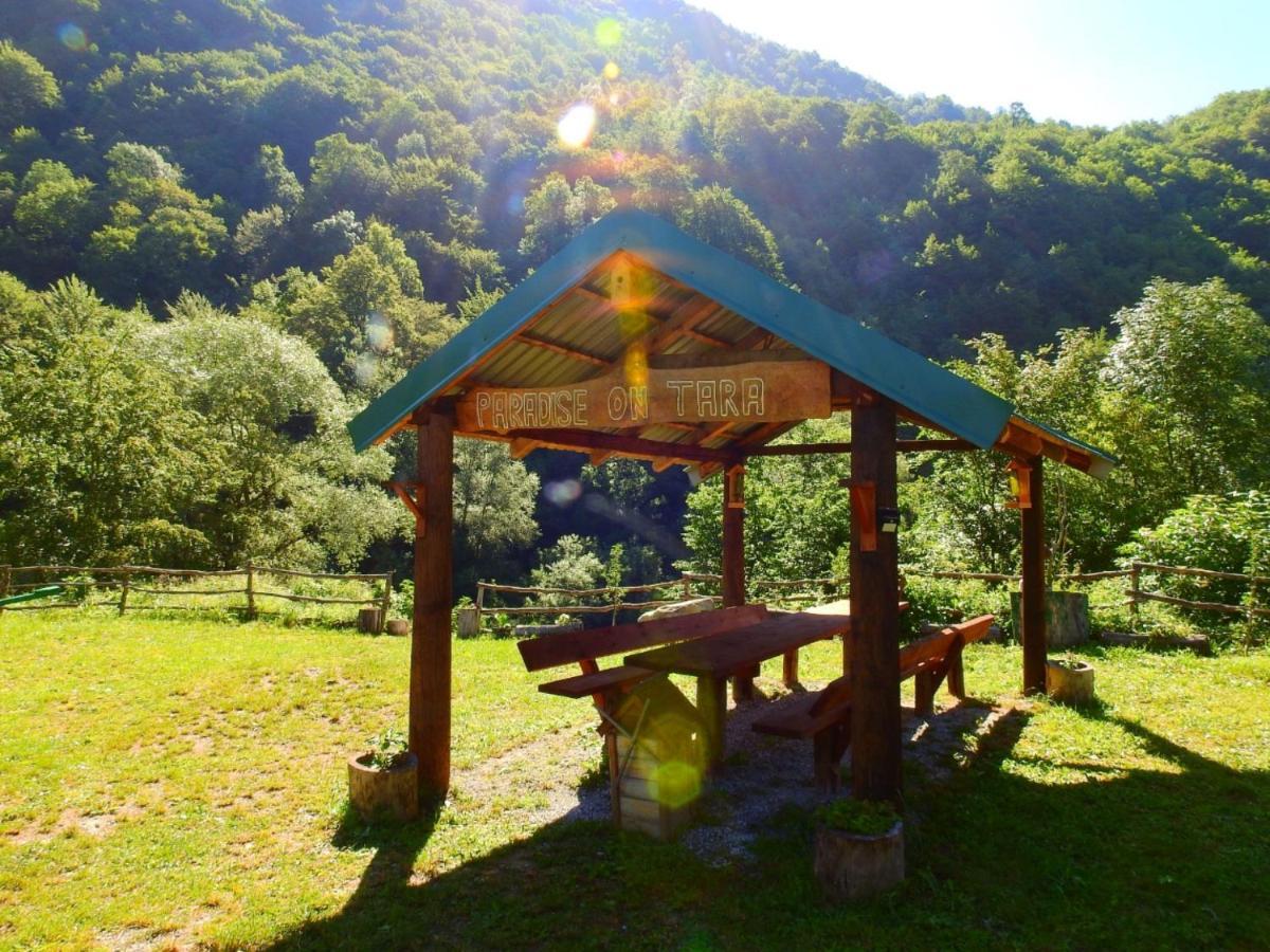 Private Accommodation Kalezic Mojkovac Luaran gambar
