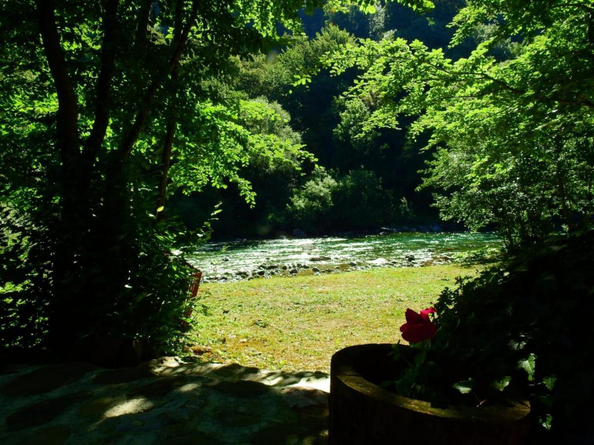 Private Accommodation Kalezic Mojkovac Luaran gambar