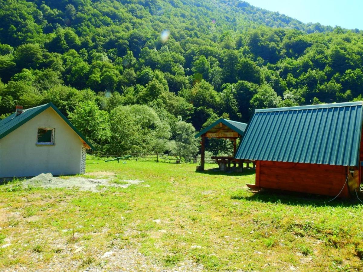 Private Accommodation Kalezic Mojkovac Luaran gambar