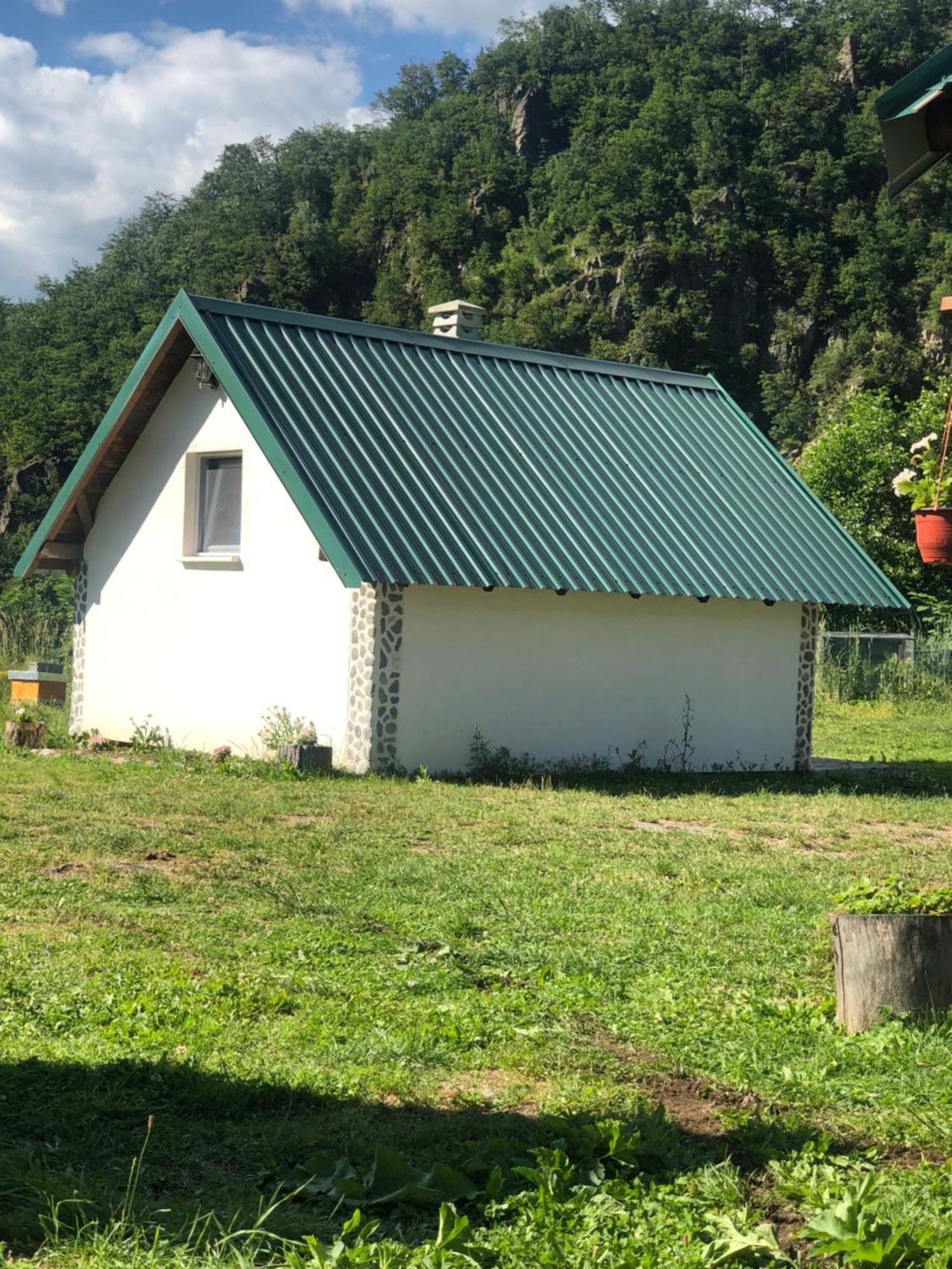 Private Accommodation Kalezic Mojkovac Luaran gambar