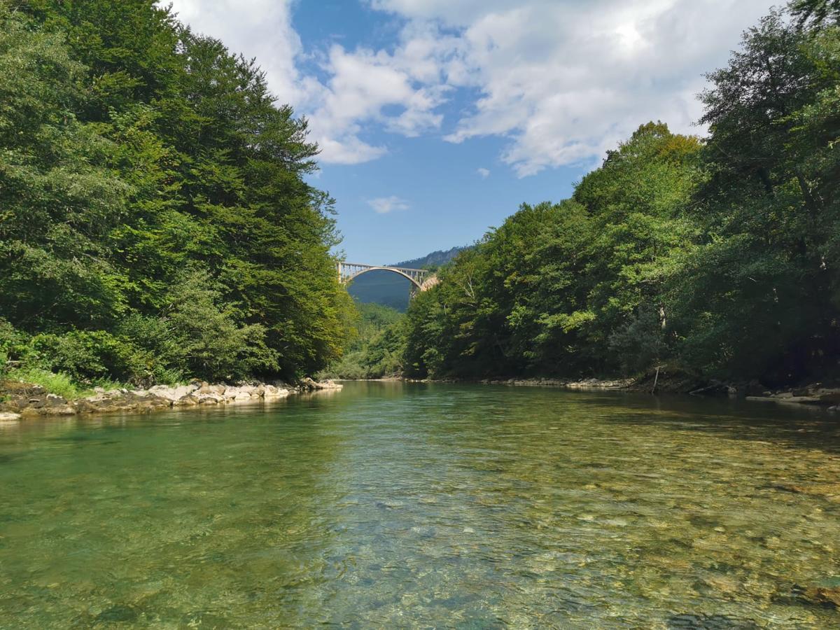 Private Accommodation Kalezic Mojkovac Luaran gambar